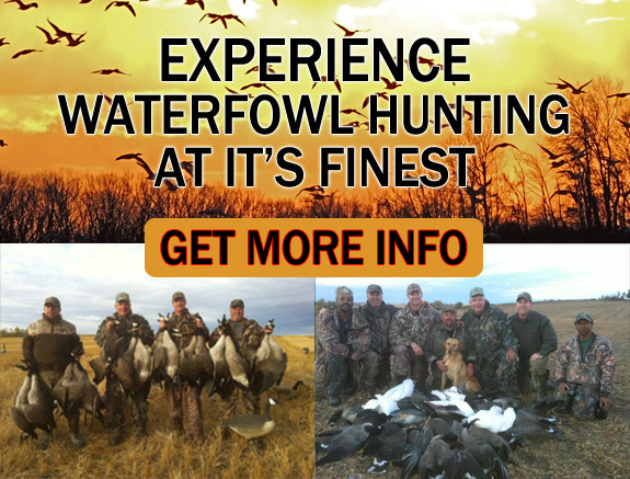 Alberta Waterfowl Hunting